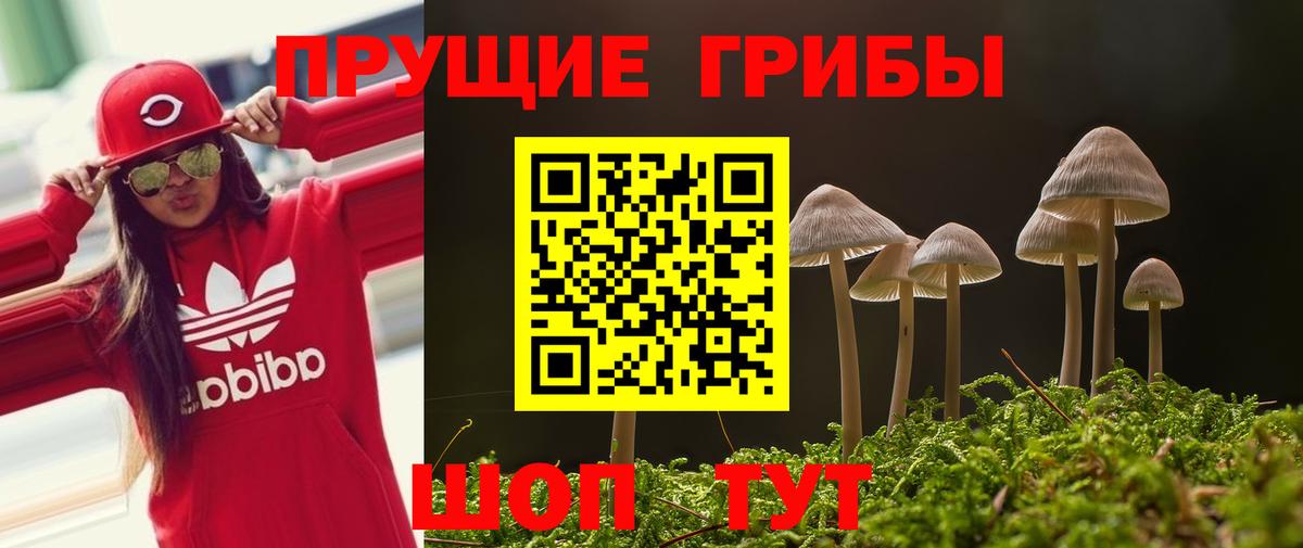 как найти наркотики  Псилоцибиновые грибы прущие грибы  Вход с VPN  Евпатория 